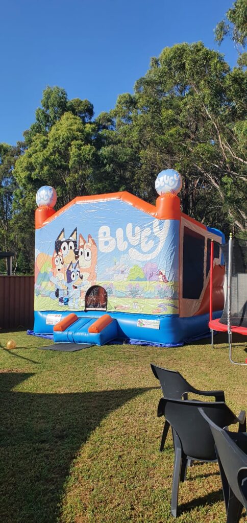 Bluey4